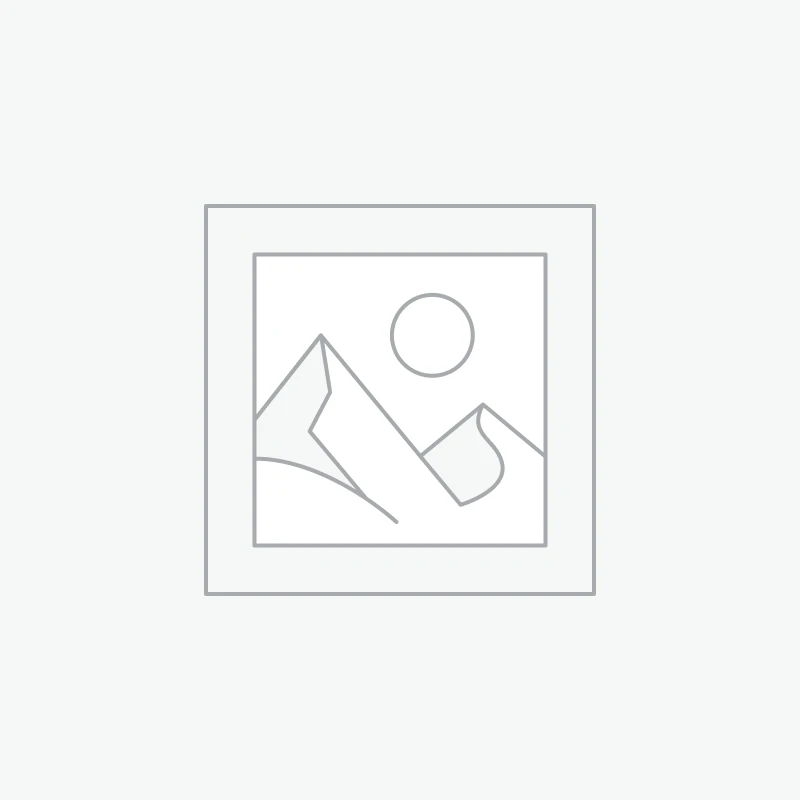 WL-11 Manluen Gold Sushi Box 1 Awaiting product image