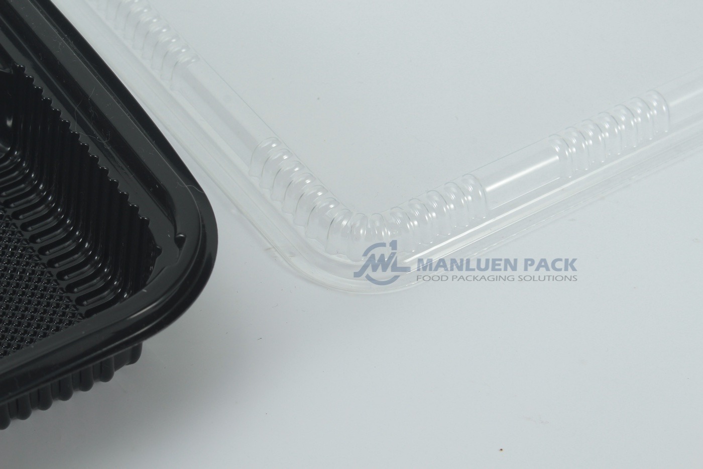 556 Black Base And Clear Lid Edge Detail