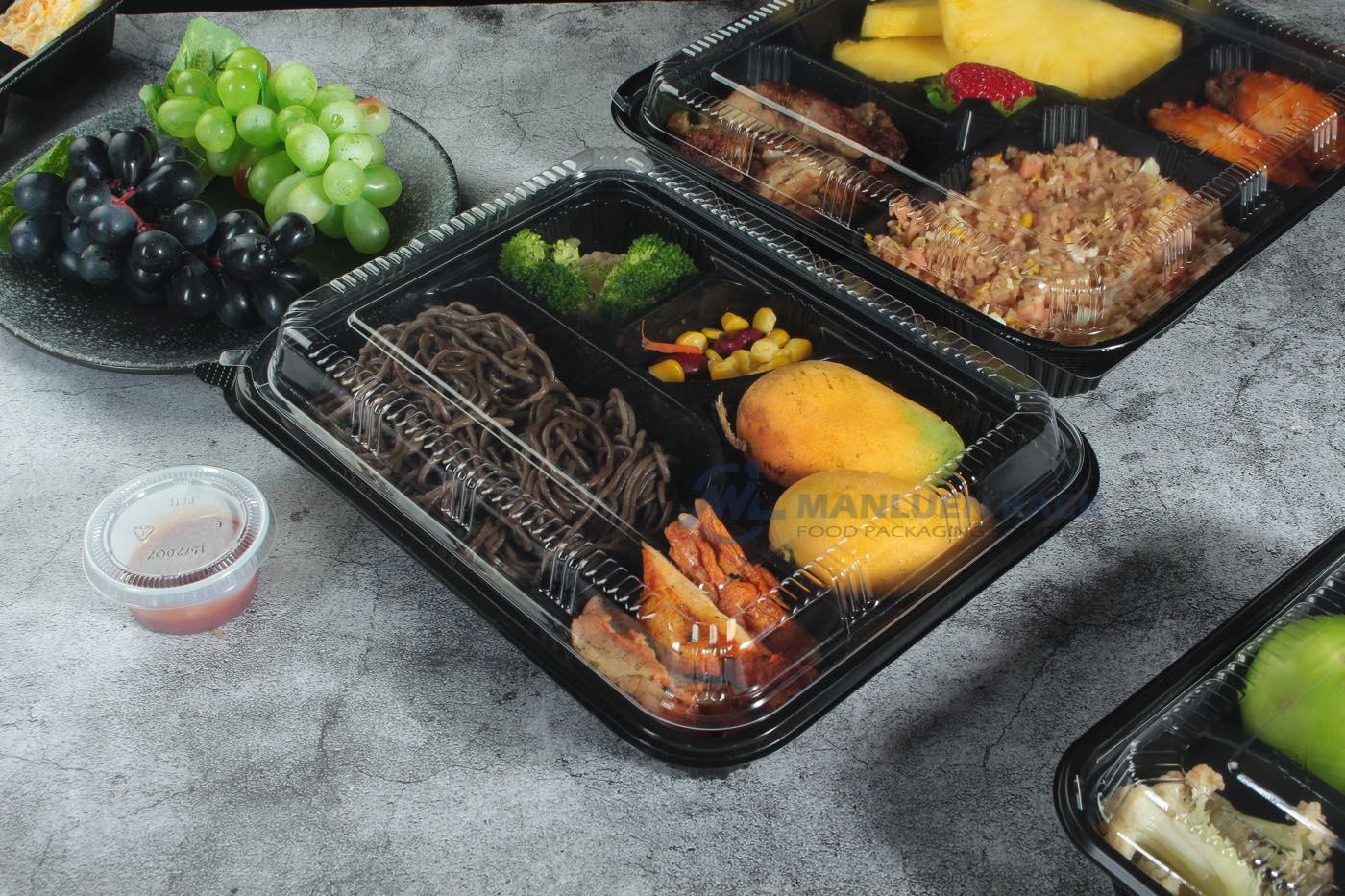 556 Covered Noodle Mango And Chicken Tray 02