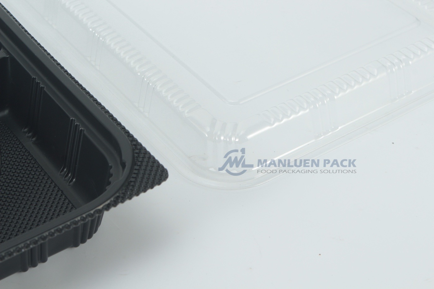 8306 Black Base And Clear Lid Edge Detail