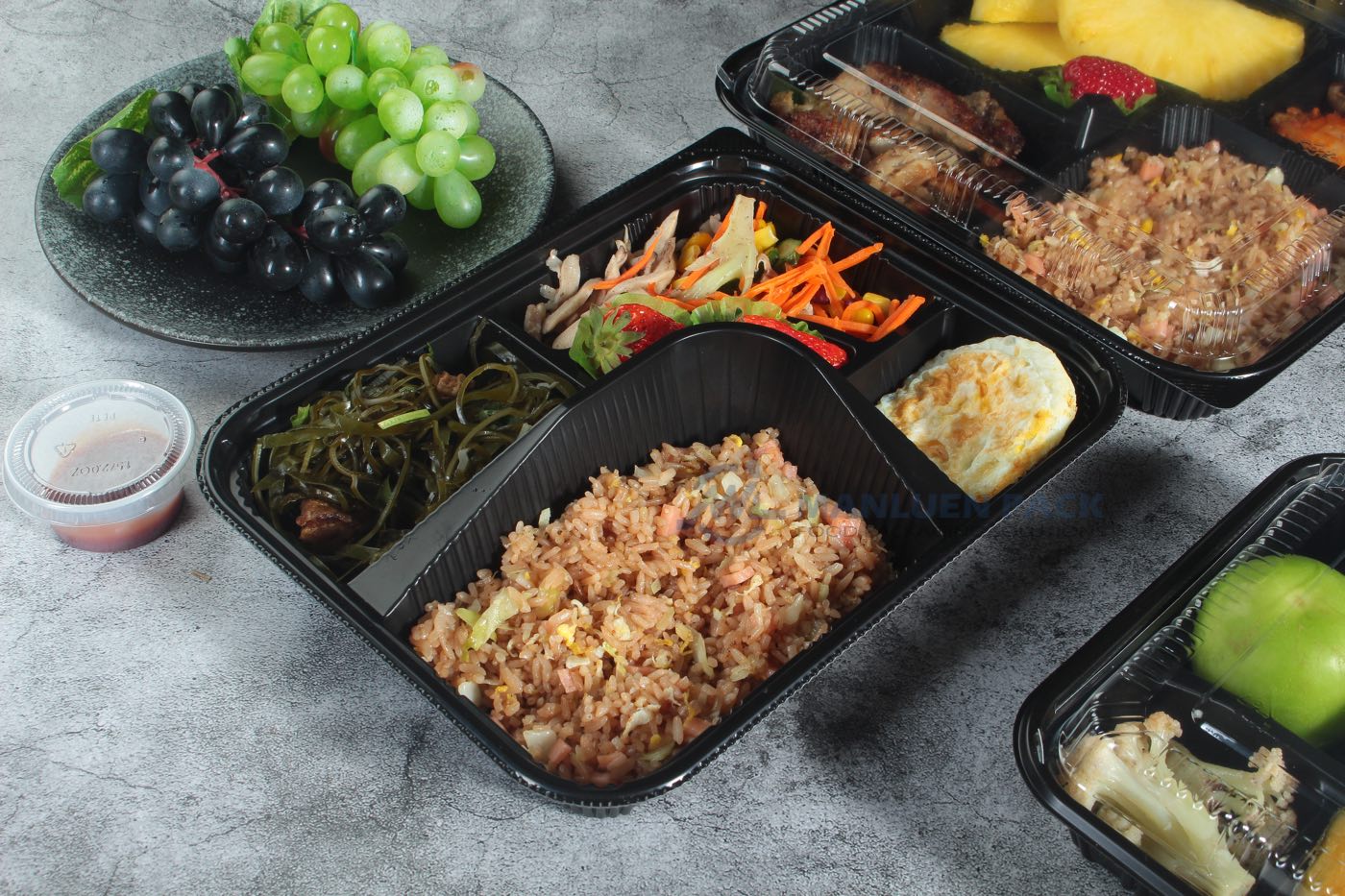 8306 Open Rice Vegetable And Egg Tray Scene 02