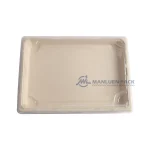 Wl 11 Manluen Biodegradable Bagasse Sushi Tray