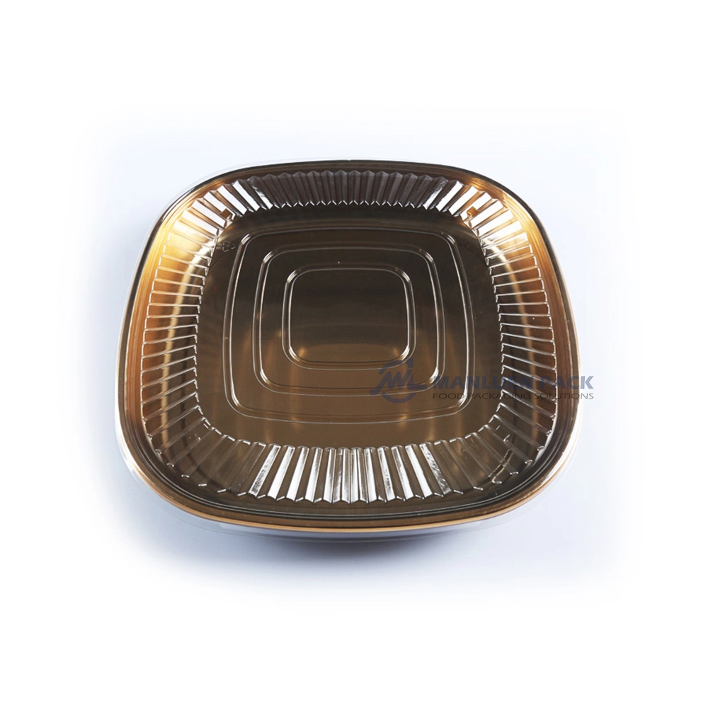 WL-C025-manluen-plastic-party-tray