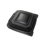 Wl P93 Bagasse Clamshell Container