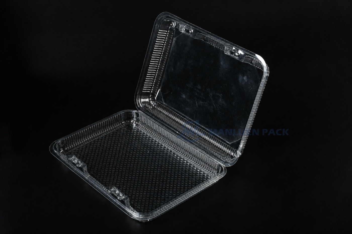 Cm 004 Open Clear Clamshell Container Angle
