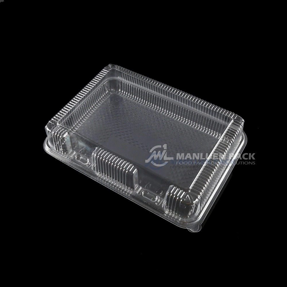 Cm 005 Clear Plastic Clamshell Container Angle View 02