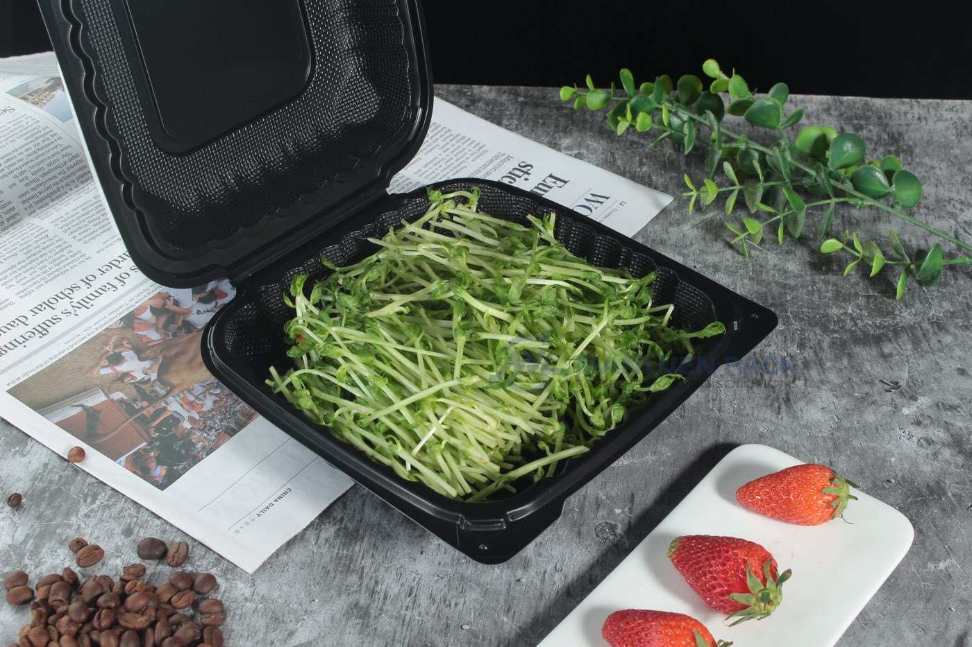 P81 Black Open Clamshell Box With Sprout Salad