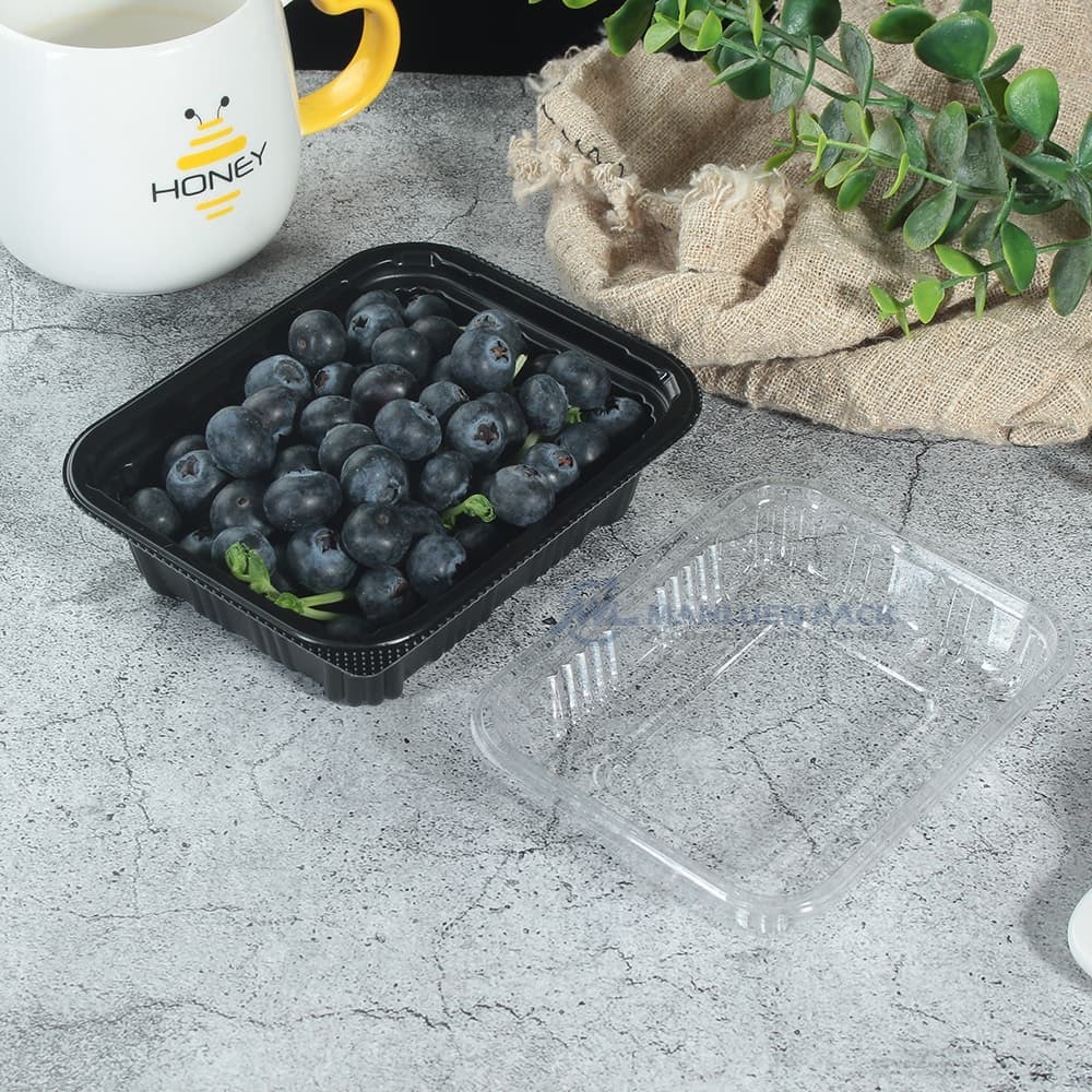Wl 8505 Open Black Blueberry Tray With Clear Lid