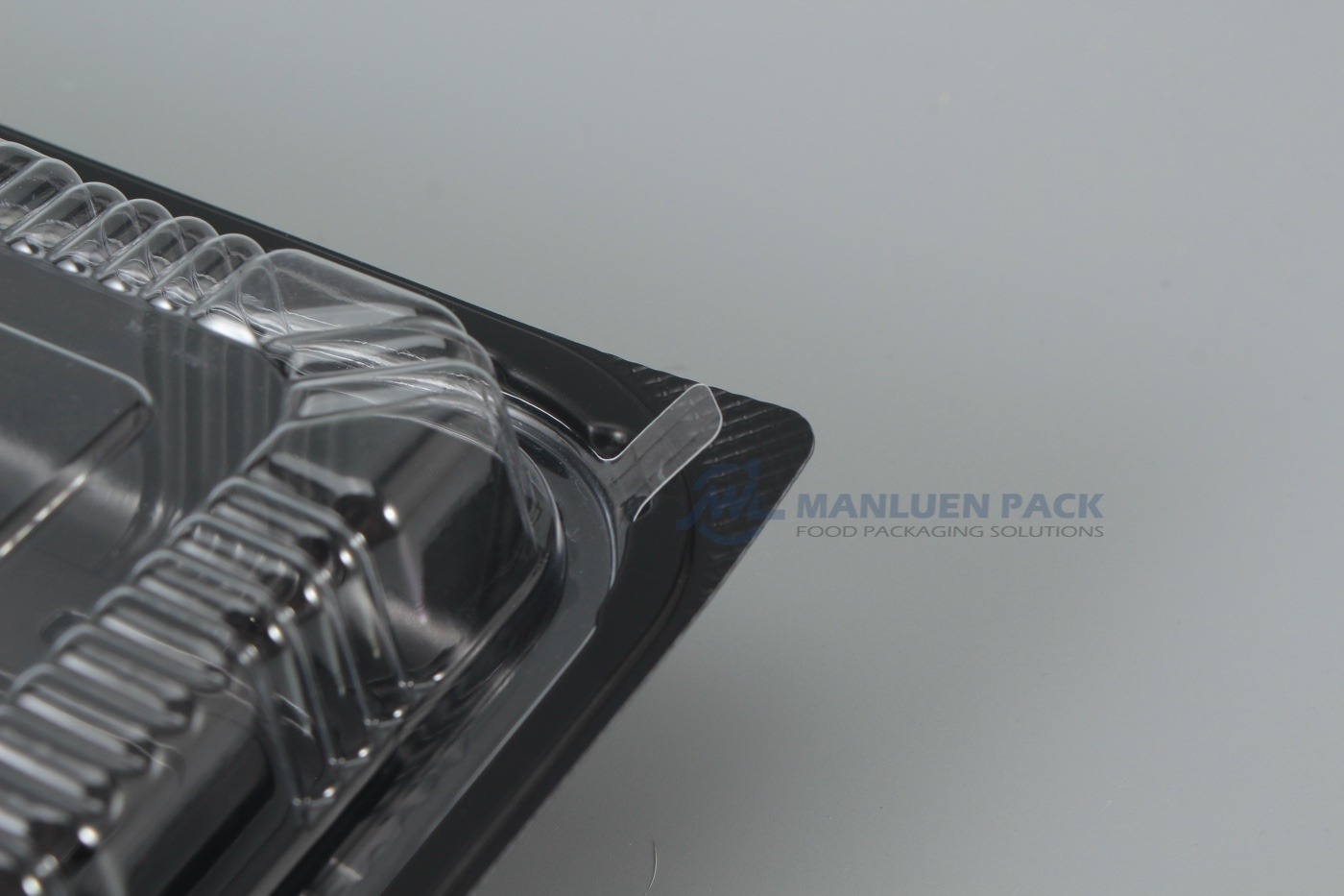 Wl 8520 Clear Lid Locking Edge Detail