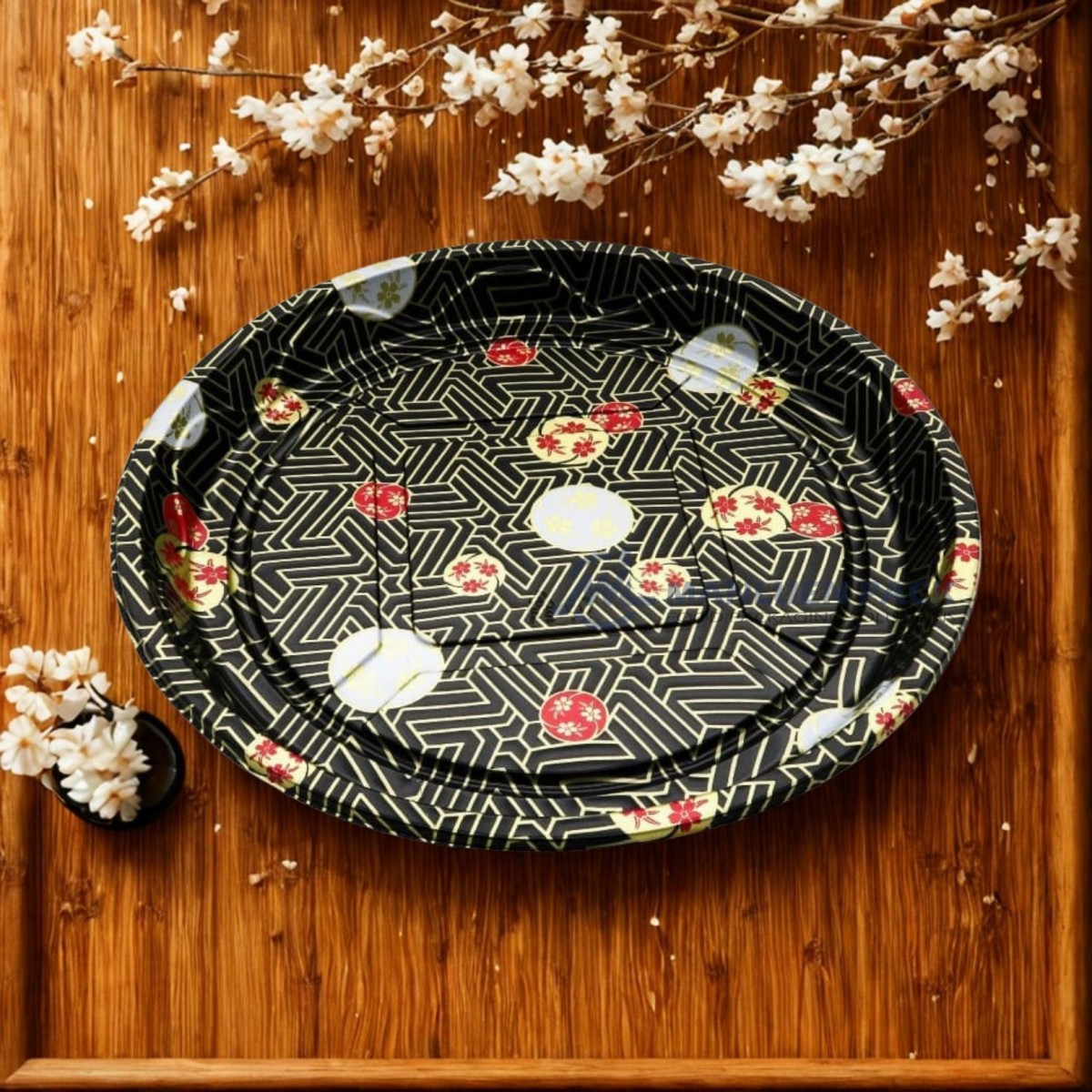 Wl 53 Manluen Plastic Sushi Party Tray
