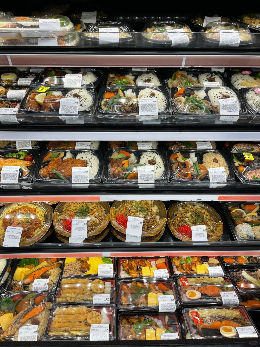 Your Trusted Partner in Food Packaging Solutions:to Go Bento Box 5 Wl 8525 Manluen Disposable Plastic Bento Box