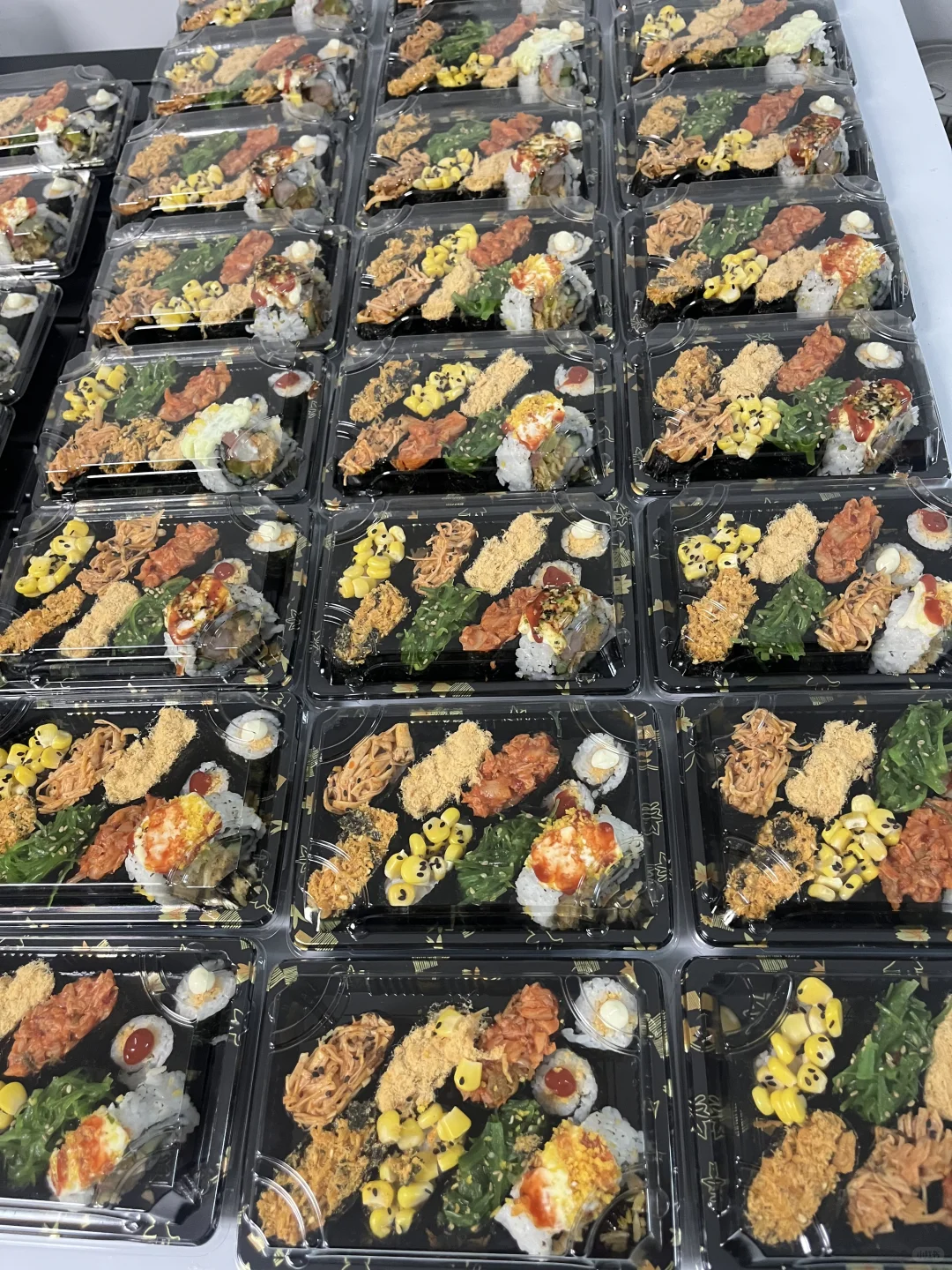 WL-05 sushi tray with food presentation product overview, alternative view 2