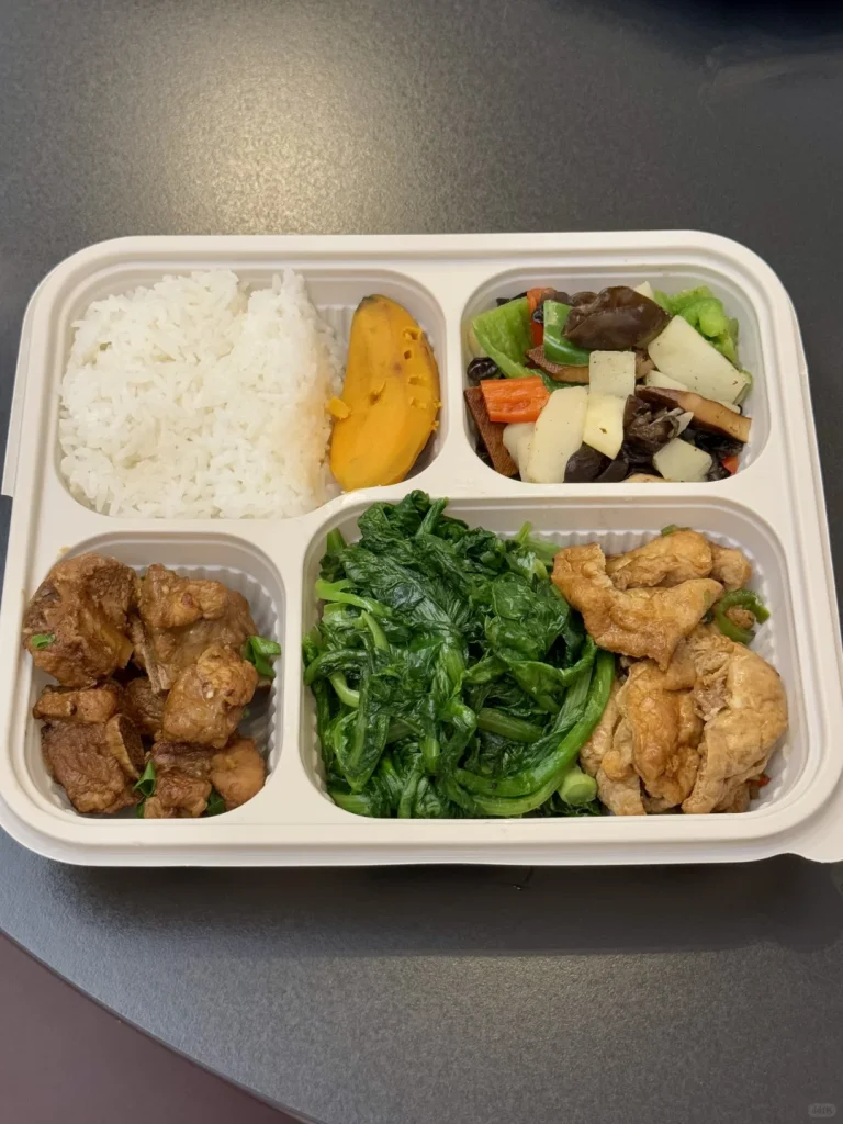 Wl 8305 Manluen Compostable Bento Box