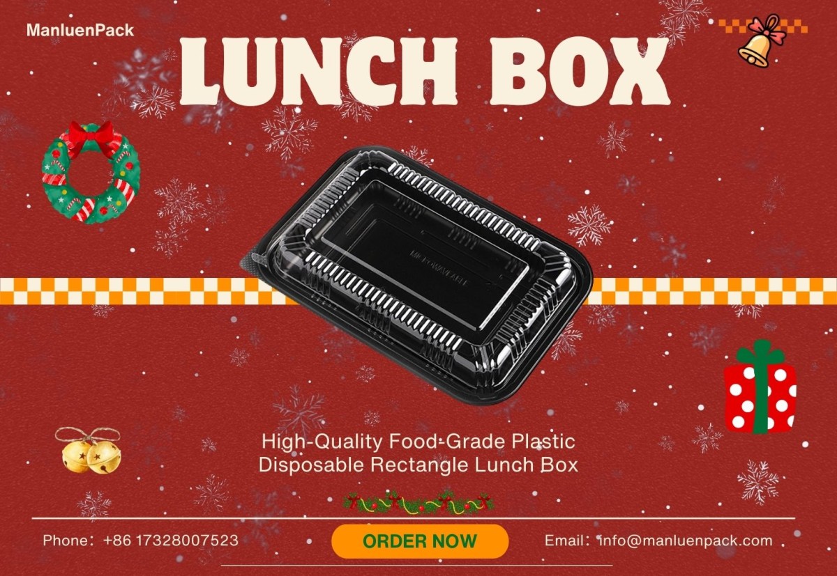 25.12.5 Manluen Disposable Bento Box