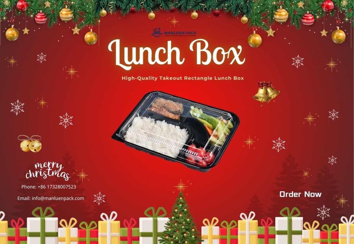 25.12.5 Manluen To Go Bento Box