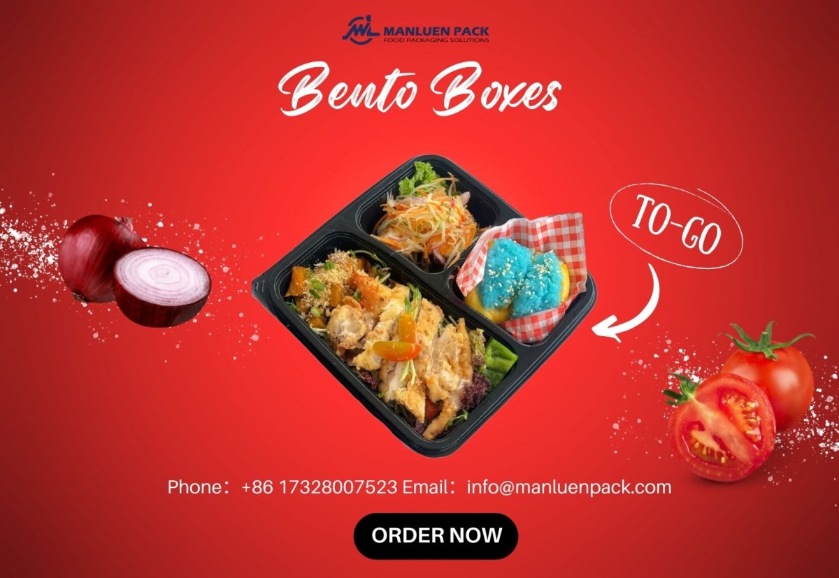 25.12.9 Manluen Disposable Bento Box