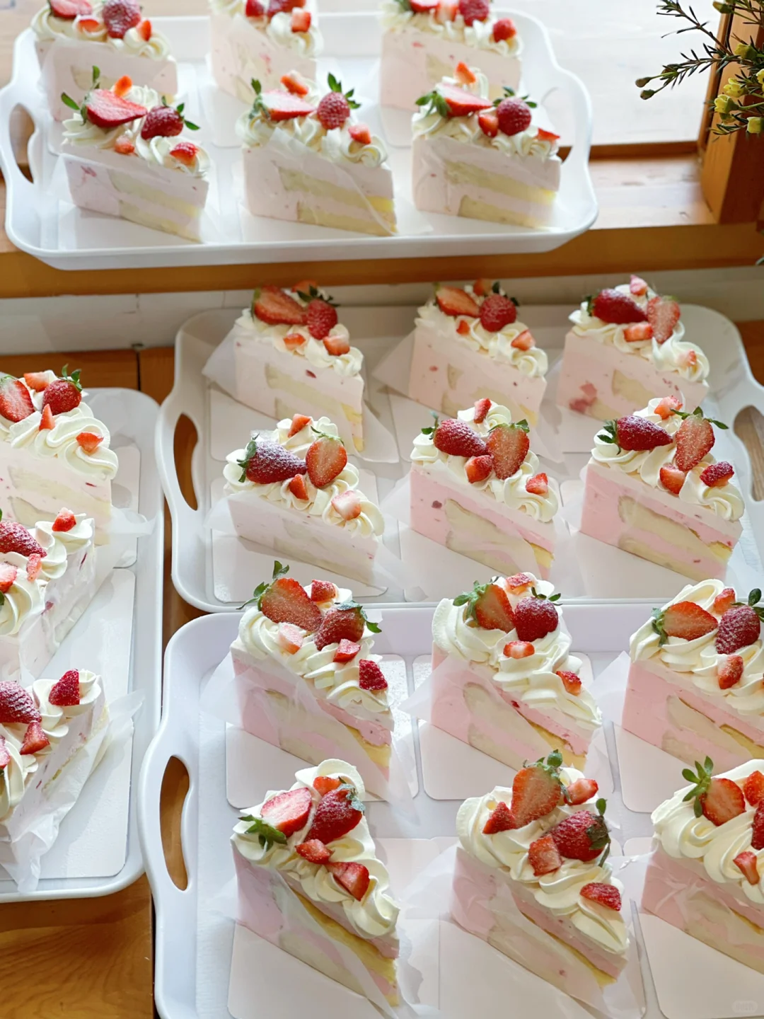 Triangular Little Havens Box Slice Cake for Your Sweet Slices 3 Wl 135 Manluen Single Cake Slice Container