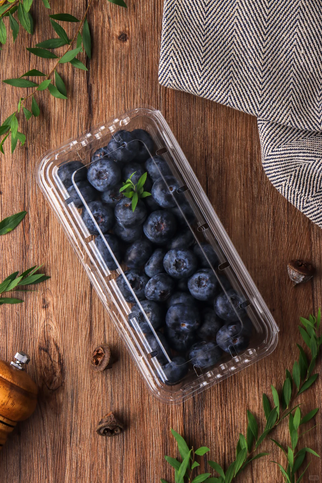 The Go-To Blueberry Container Venting for Peak Freshness 3 Wl 2501c Manluen Best Blueberries For Containers