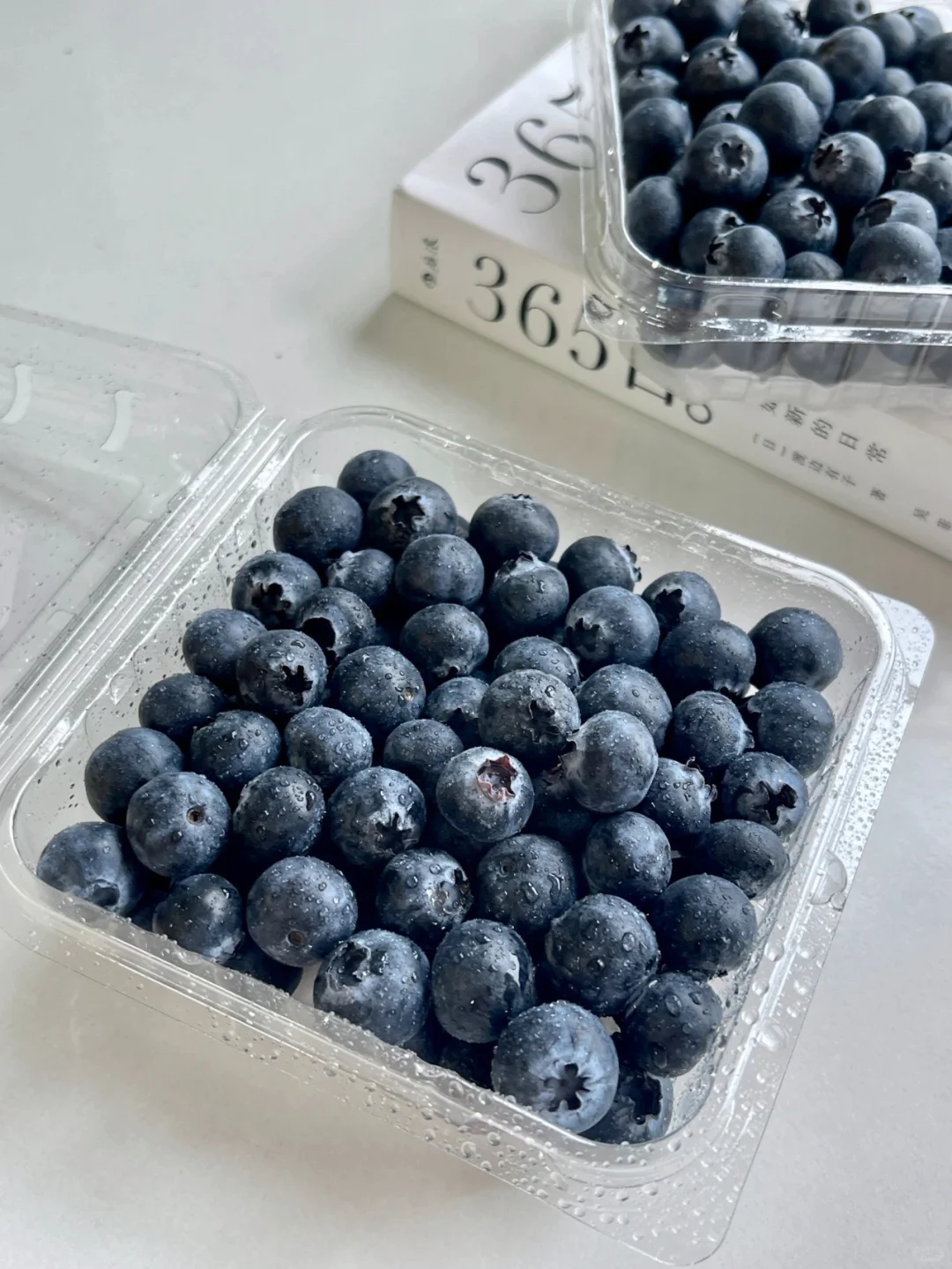 Box Blueberry Safe Plastic Packaging for Profitable Berries 2 Wl 2501c Manluen Blueberries In Containers