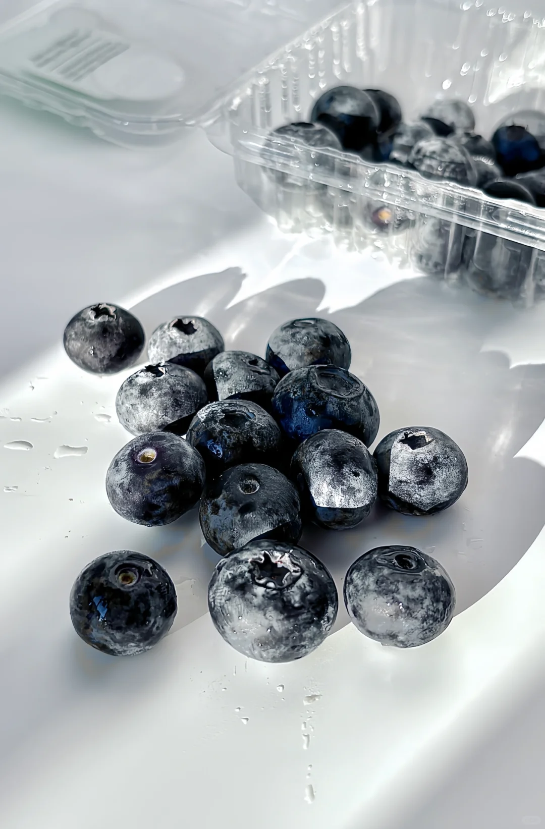 Blueberry Box The Secret to Fresh Eye-Catching Berries 3 Wl 2501c Manluen Blueberry Clamshell Packaging