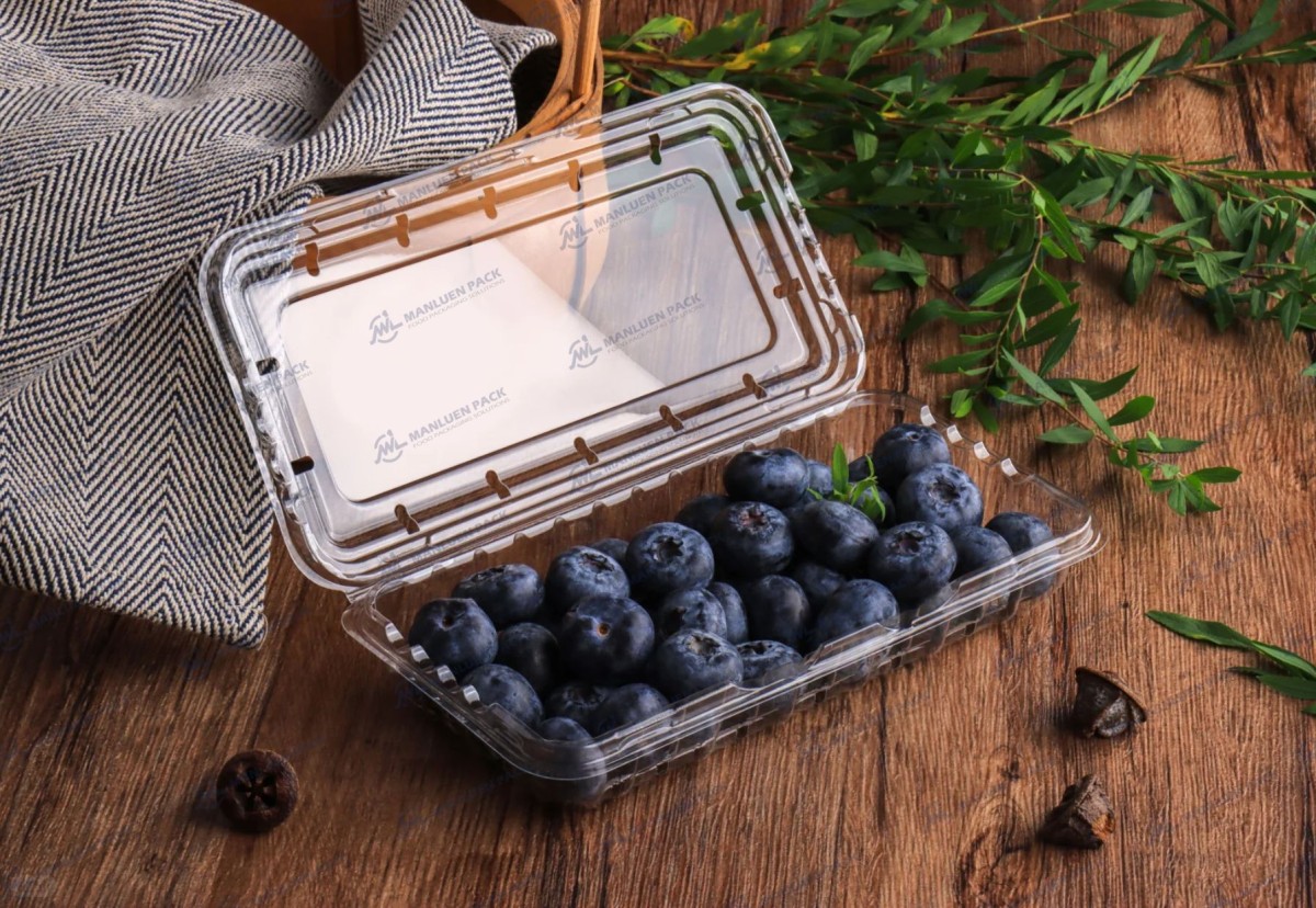 The Go-To Blueberry Container Venting for Peak Freshness 1 Wl 2501c Manluen Blueberry Container