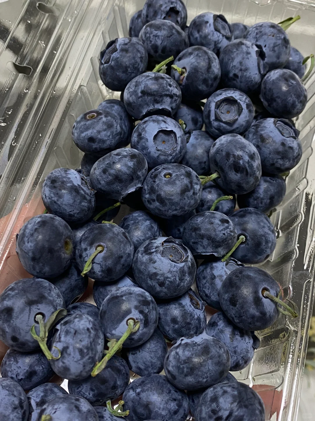 The Go-To Blueberry Container Venting for Peak Freshness 4 Wl 2501c Manluen Blueberry In Container