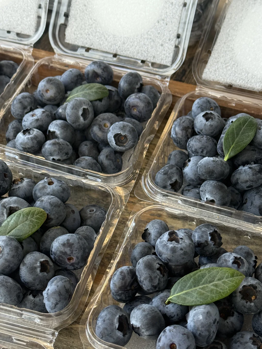 Box Blueberry Safe Plastic Packaging for Profitable Berries 4 Wl 2501c Manluen Blueberry Packaging