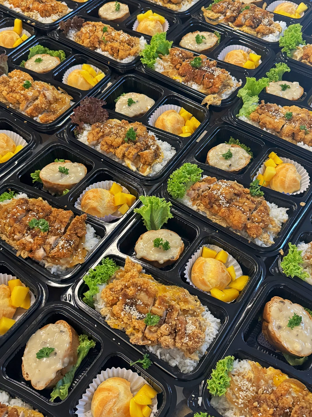 Disposable Plastic Bento Box Your Go-To for Food Packaging 2 Wl 8307 Manluen Disposable Lunch Boxes