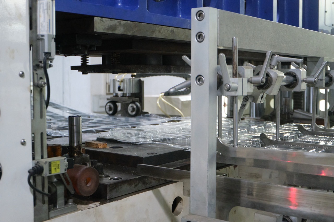 Wholesale Party Trays: Your Complete Guide to Sourcing from China 8 Plastic Food Container Thermoforming Production Line