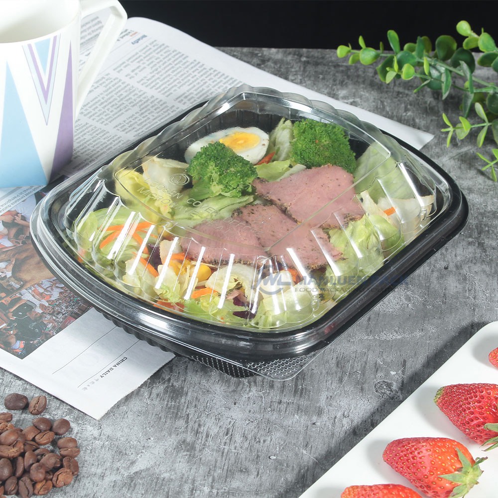 1c Covered One Compartment Salad Tray