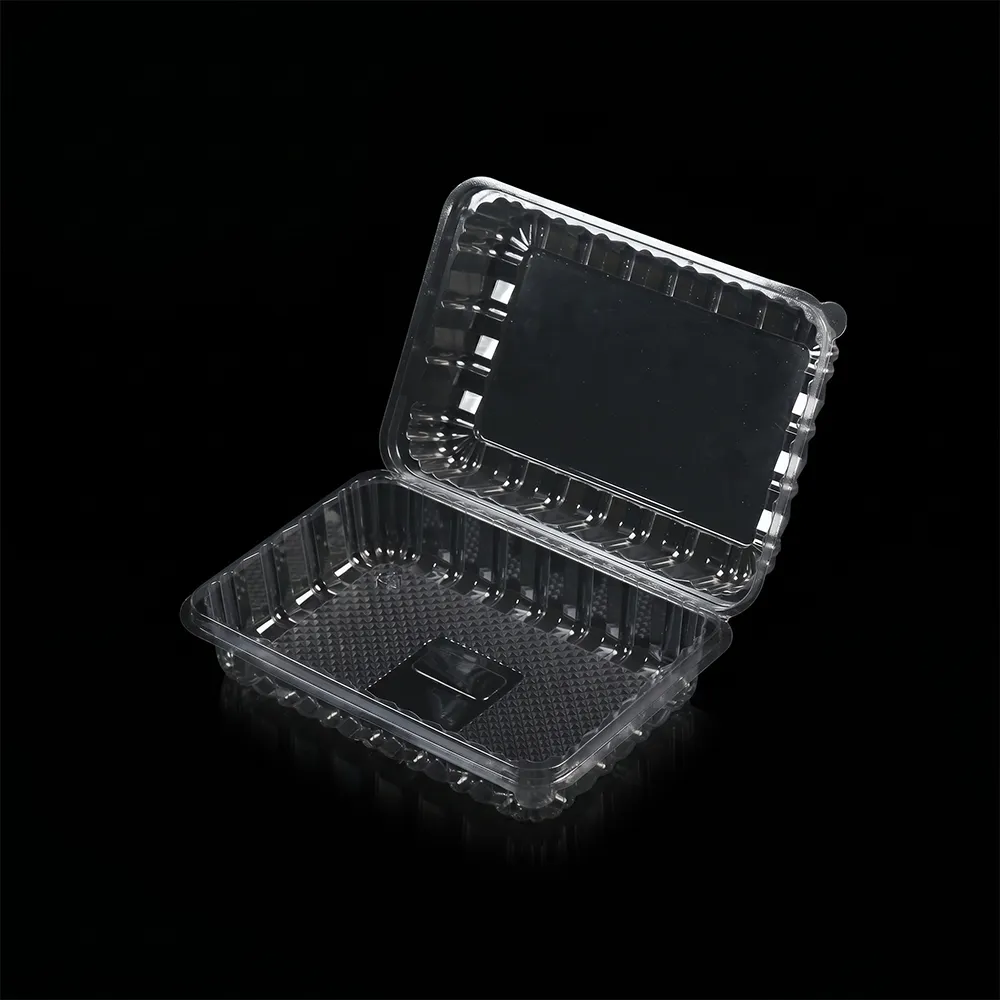 Wl Cm003h Disposable Plastic Clamshell Container