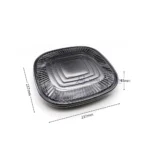 wl-C019-party-tray