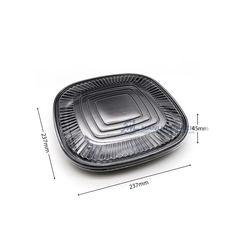 wl-C019-party-tray