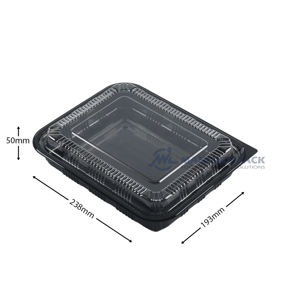 Wl 8528 Bento Box