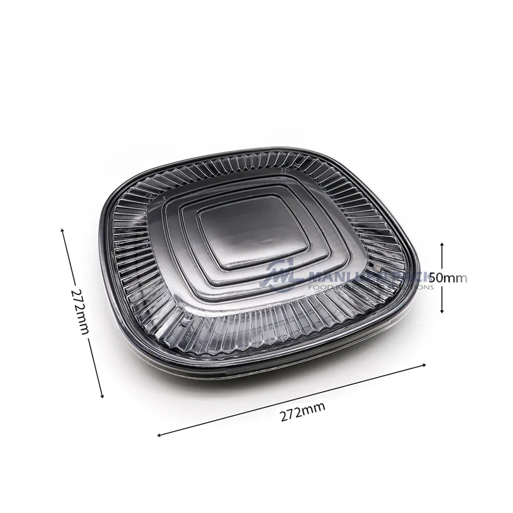 Wl C020 Party Tray