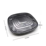 Wl C021 Party Tray