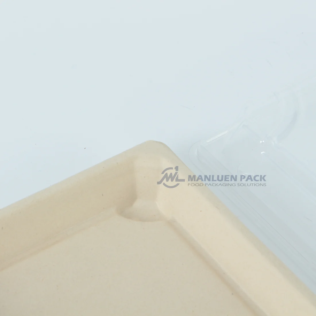 Close-up detail of a natural WL-05 bagasse tray base with clear lid