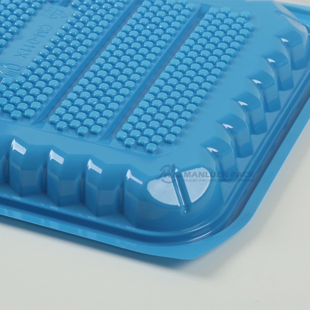 Cm 011 Blue Clamshell Container Texture Close Up