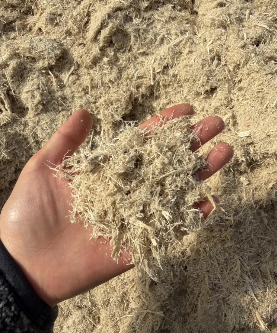 What Is Bagasse Packaging? 3 Raw sugarcane bagasse fiber material used for manufacturing compostable food packaging