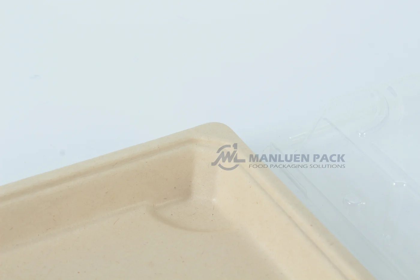 Close-up of the molded rim on a WL-11 bagasse sushi tray