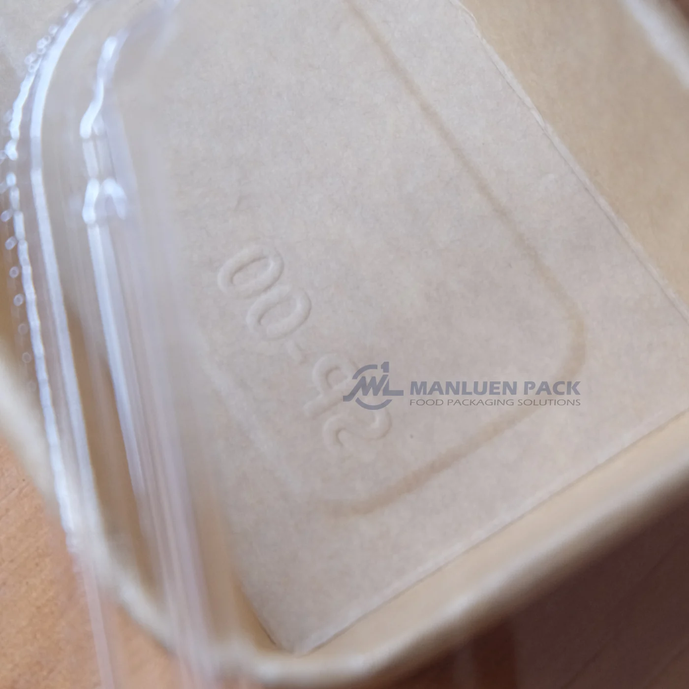 WL-1100 embossed tray model mark close-up