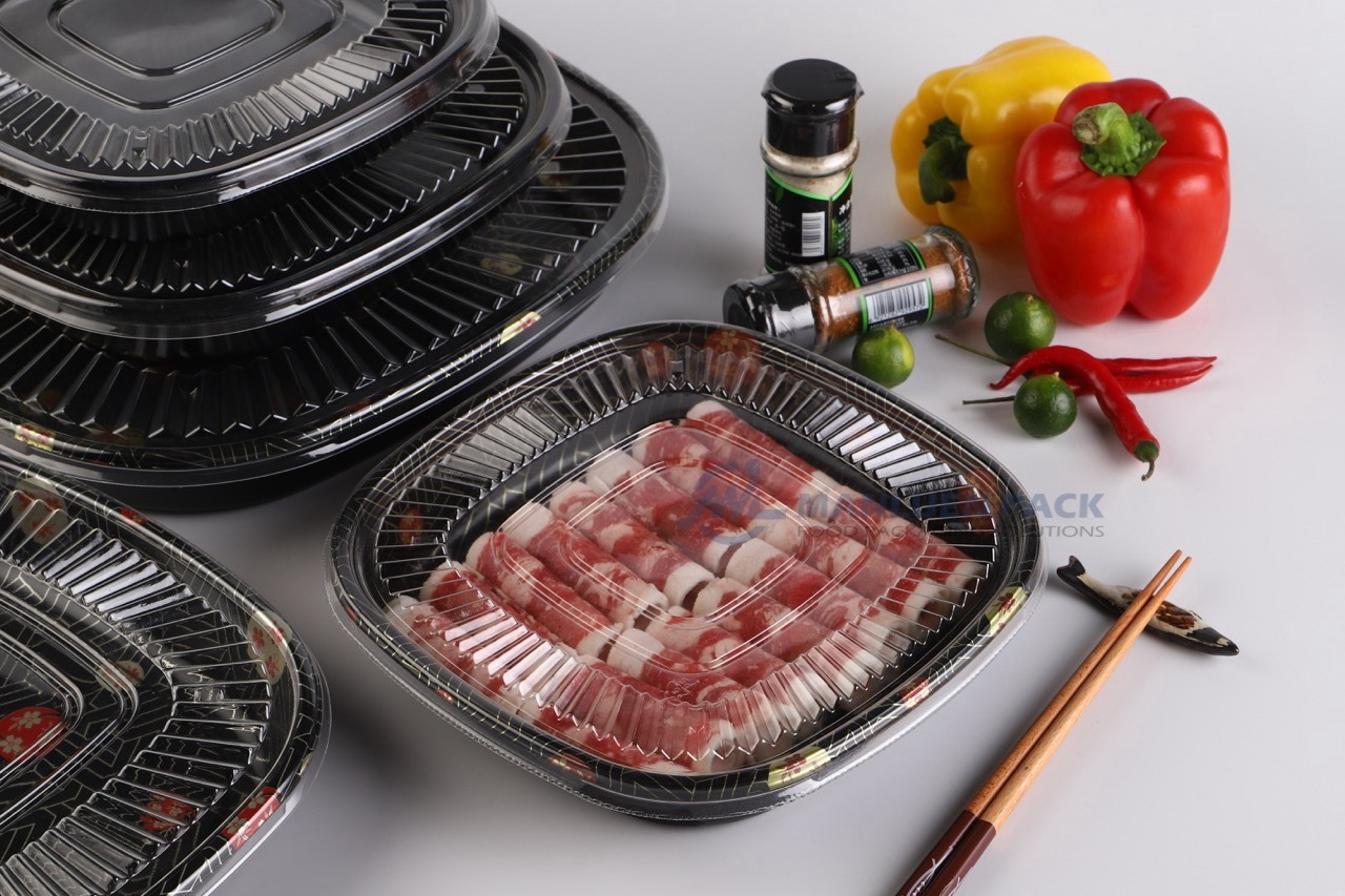 Wl C021 Square Food Container With Clear Lid Beef Packagin