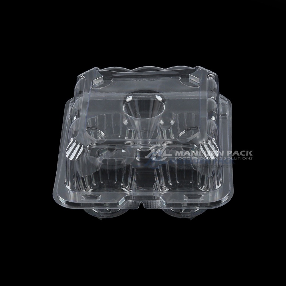 Ck 04 Cake Container Product View Z15a3025