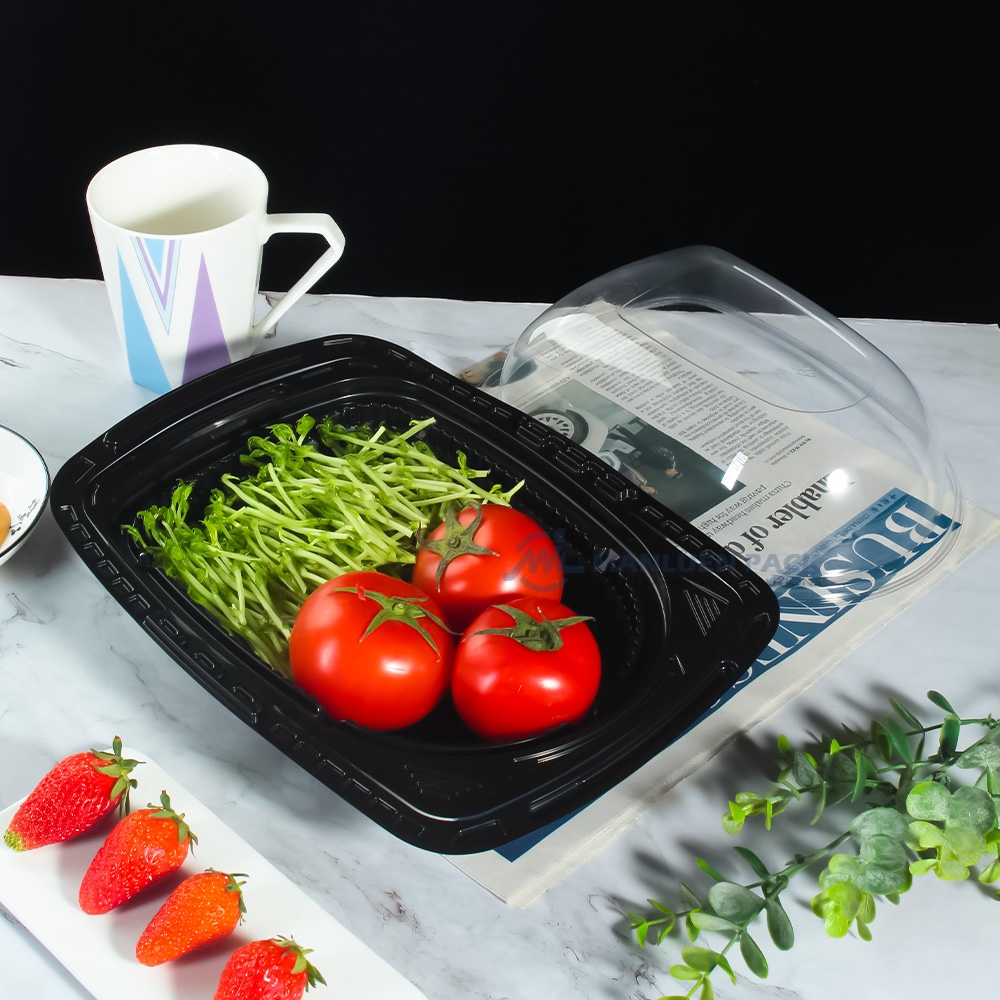 Wl A003 Black Fried Chicken Container Product View Img 2569