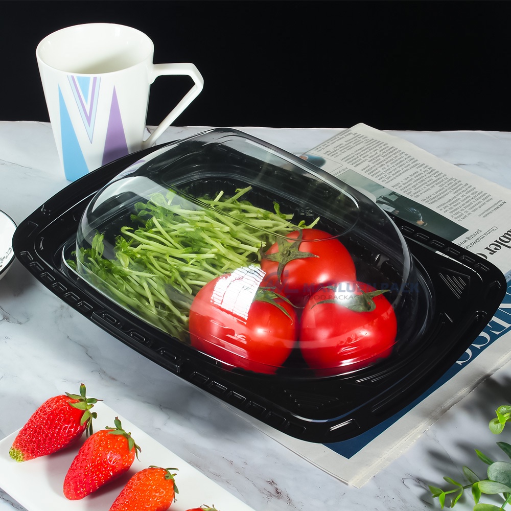 Wl A003 Black Fried Chicken Container Product View Img 2571