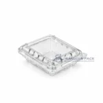 125c1 Clear Unlabeled Berry Clamshell Container Product View 02