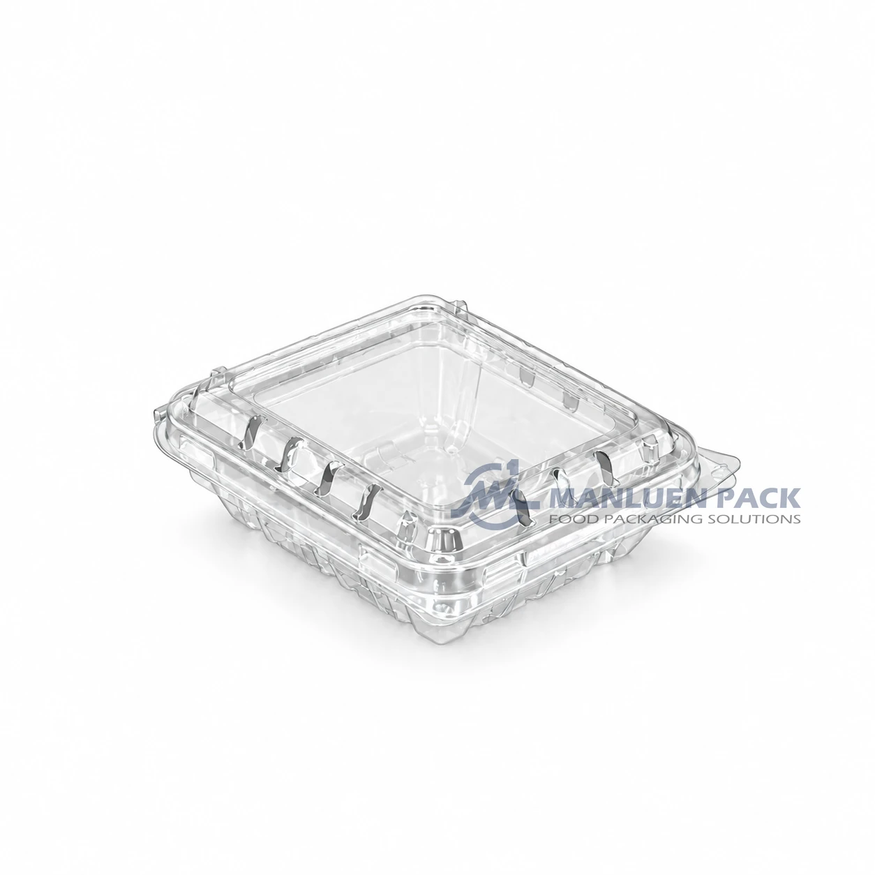 125c1 Clear Unlabeled Berry Clamshell Container Product View 02