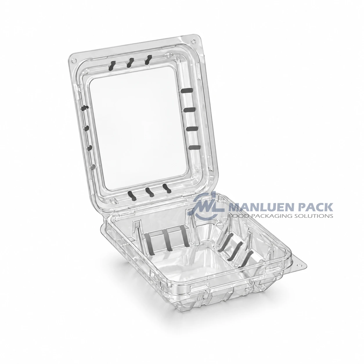125c1 Clear Unlabeled Berry Clamshell Container Product View 04