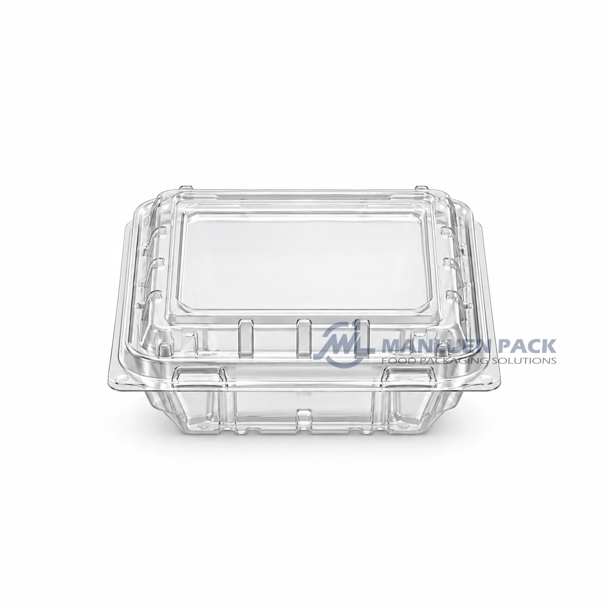 125c1 Clear Unlabeled Berry Clamshell Container Product View 05