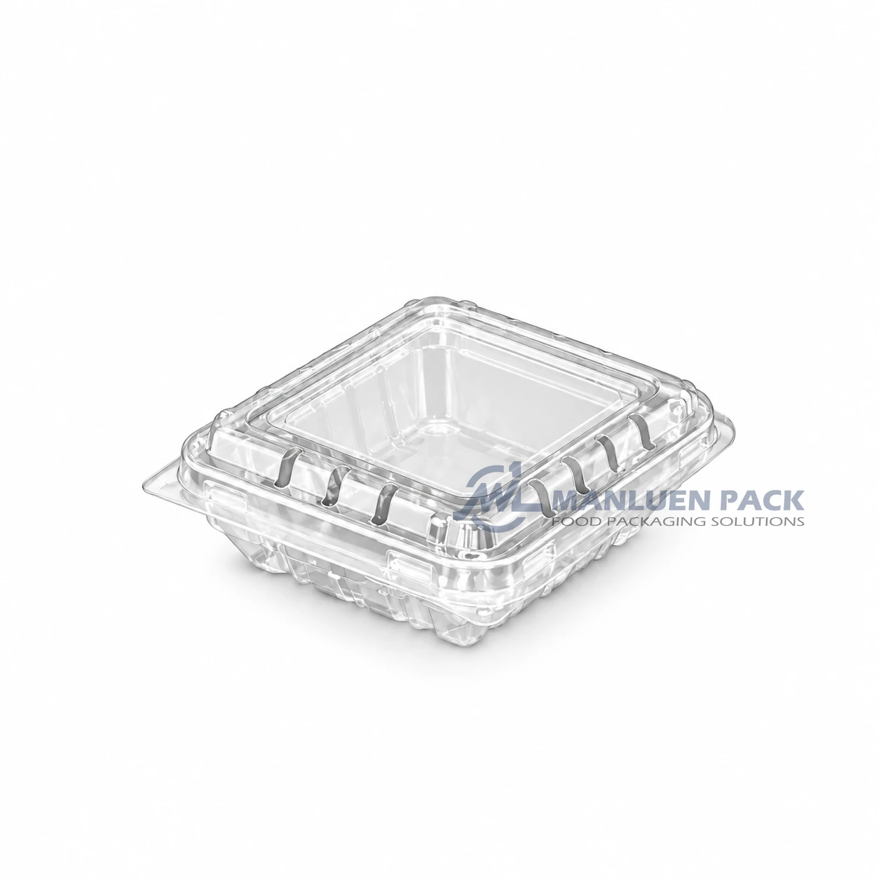 125c1 Clear Unlabeled Berry Clamshell Container Product View 06